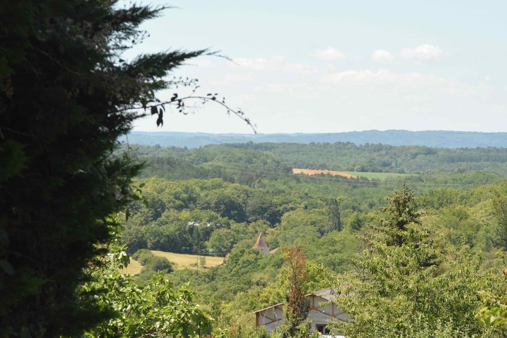 Camping Chez Francis Bed and Breakfast Loupiac  Buitenkant foto